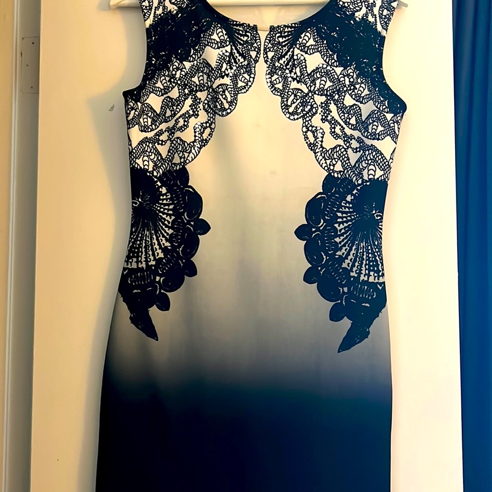 This is a beautiful dress that I bought in England. But I changed my job